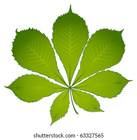 White background with autumnal leave. Vector.