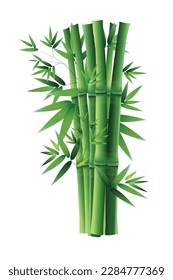 White background bamboo vector illustration.