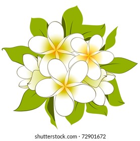 White background with beautiful flowers