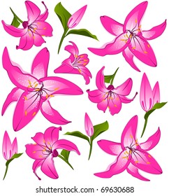 White background with beautiful pink flowers. Vector
