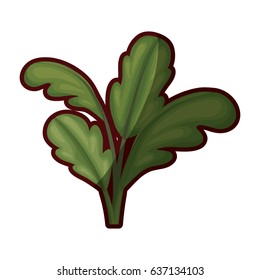 white background with beet plant with thick contour vector illustration
