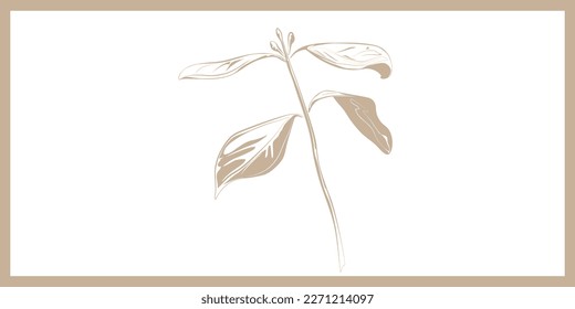White background with beige frame with beige outline image of a young plant. Delicate template for a label or card showing a sprouted plant 