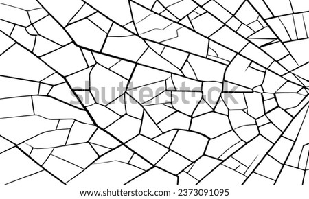 White background with black cracks. Vector silhouette of cracks in glass. Black cracks isolated on white background. Element for design.