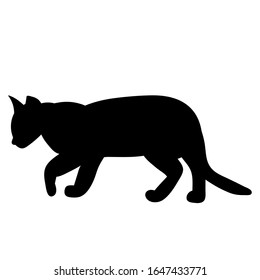 white background, black silhouette of a cat is walking