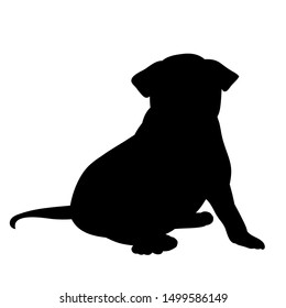 white background, black silhouette of a dog sitting