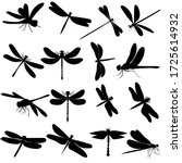 white background, black silhouette dragonfly, background
