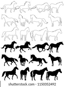 white background, black silhouette horse, set