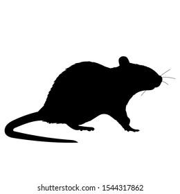 a white background, black silhouette of a rat, mouse