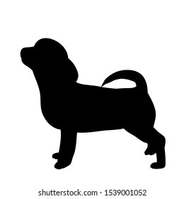 white background, black silhouette of a small dog standing