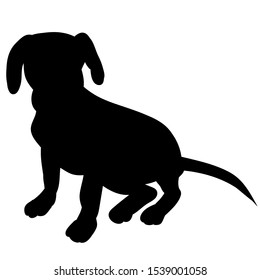 white background, black silhouette of a small dog