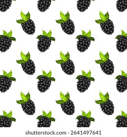 White background with blackberries.Vector seamless pattern with blackberries on a white background.
