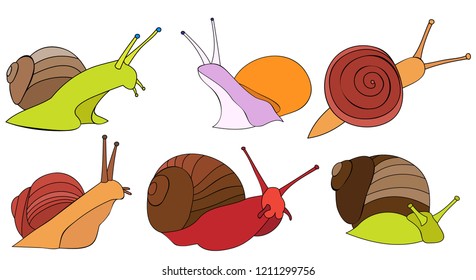  white background, bright snail