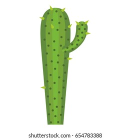 white background with cactus with small branch vector illustration