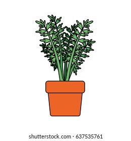 white background with carrot plant in flower pot with thick contour vector illustration