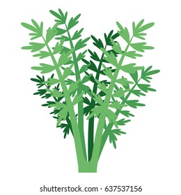 white background with carrot plant vector illustration