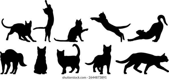 White background cat silhouette set black and white.