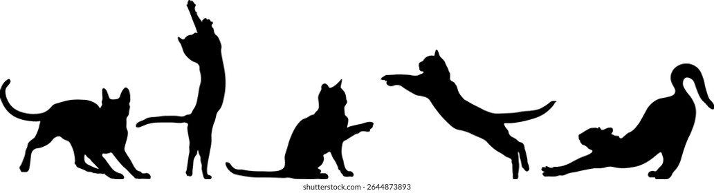 White background cat silhouette set black and white.