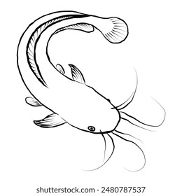 White background Catfish Clipart, Catfish Vector, Catfish, Fish Vector