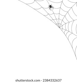 White background with cobweb and spider. Insects. Illustration, background with copy space, vector