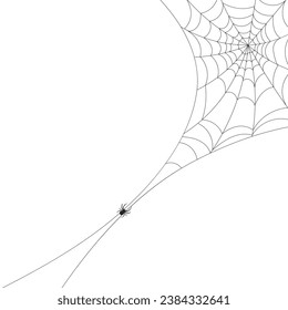 Fondo blanco con telaraña y araña. Insectos. Ilustración, fondo con espacio de copia, vector