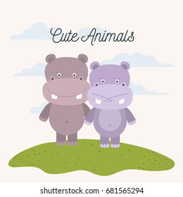 white background with color scene couple cute hippopotamus animals in grass vector illustration