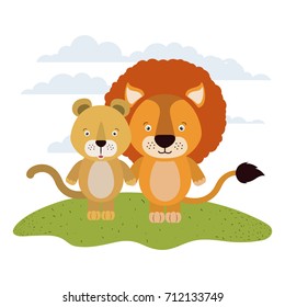 white background with color scene couple cute lion and lioness animals in grass vector illustration