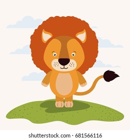 white background with color scene cute lion animal in grass vector illustration