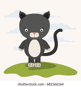 white background with color scene cute cat animal in grass vector illustration