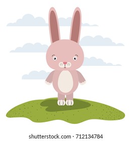 white background with color scene cute rabbit animal in grass vector illustration
