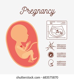 white background with color silhouette human fetus and icons pregnancy vector illustration