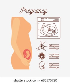 white background with color silhouette pregnancy process in female body vector illustration