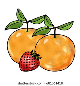 white background of colored crayon silhouette set of fruits orange and strawberry vector illustration