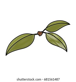 white background of colored crayon silhouette of three green leaves of cherry with stem vector illustration