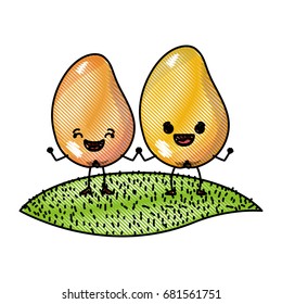 white background of colored crayon silhouette of realistic pair of mango fruits caricature over grass vector illustration