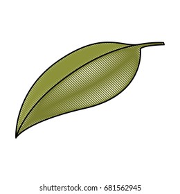 white background of colored crayon silhouette of green leaf of cherry vector illustration