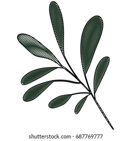 white background of colored crayon silhouette of branch with oval leaves vector illustration