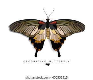 White background with colored hand drawn butterfly. Stylized isolated decorative element on white background. 