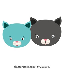 white background with colorful caricature face couple cute animal cats vector illustration