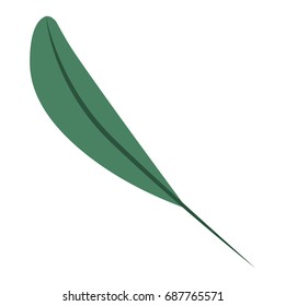 white background with colorful silhouette of leaf lanceolate vector illustration