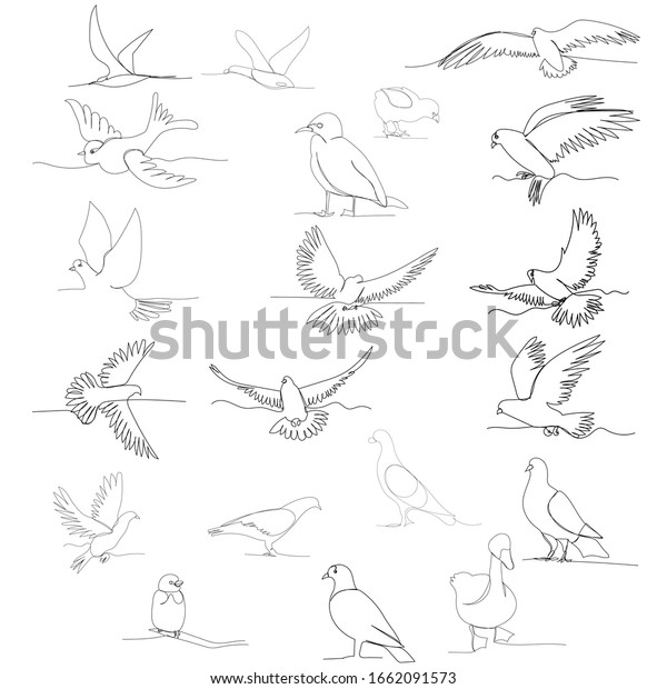 White Background Continuous Line Drawing Bird Stock Vector (Royalty ...