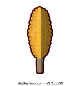 white background with corncob in close up and stains and half shadow vector illustration