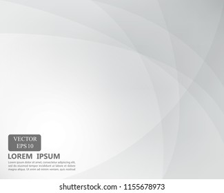 white background cruve line web modern template