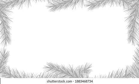 White background for design, framed by fir branches, vector.