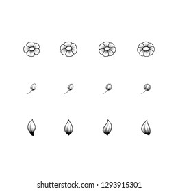 White background with different black outline floral elements