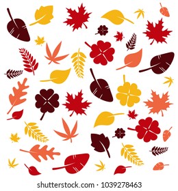 White background with different color autumn leaves