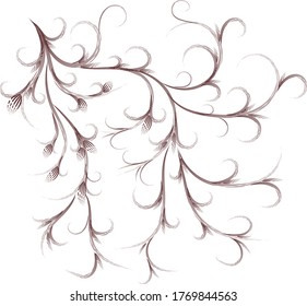 White background. Elegant pattern of curved lines.