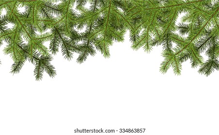 White background with fir branches. Vector paper illustration.