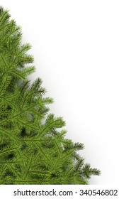 White background with fir branches. Vector paper illustration.