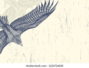 White background with flying eagle. Drawing sketch for greeting card