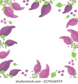 white background frame of flowers and lilac branches with leaves with space for text